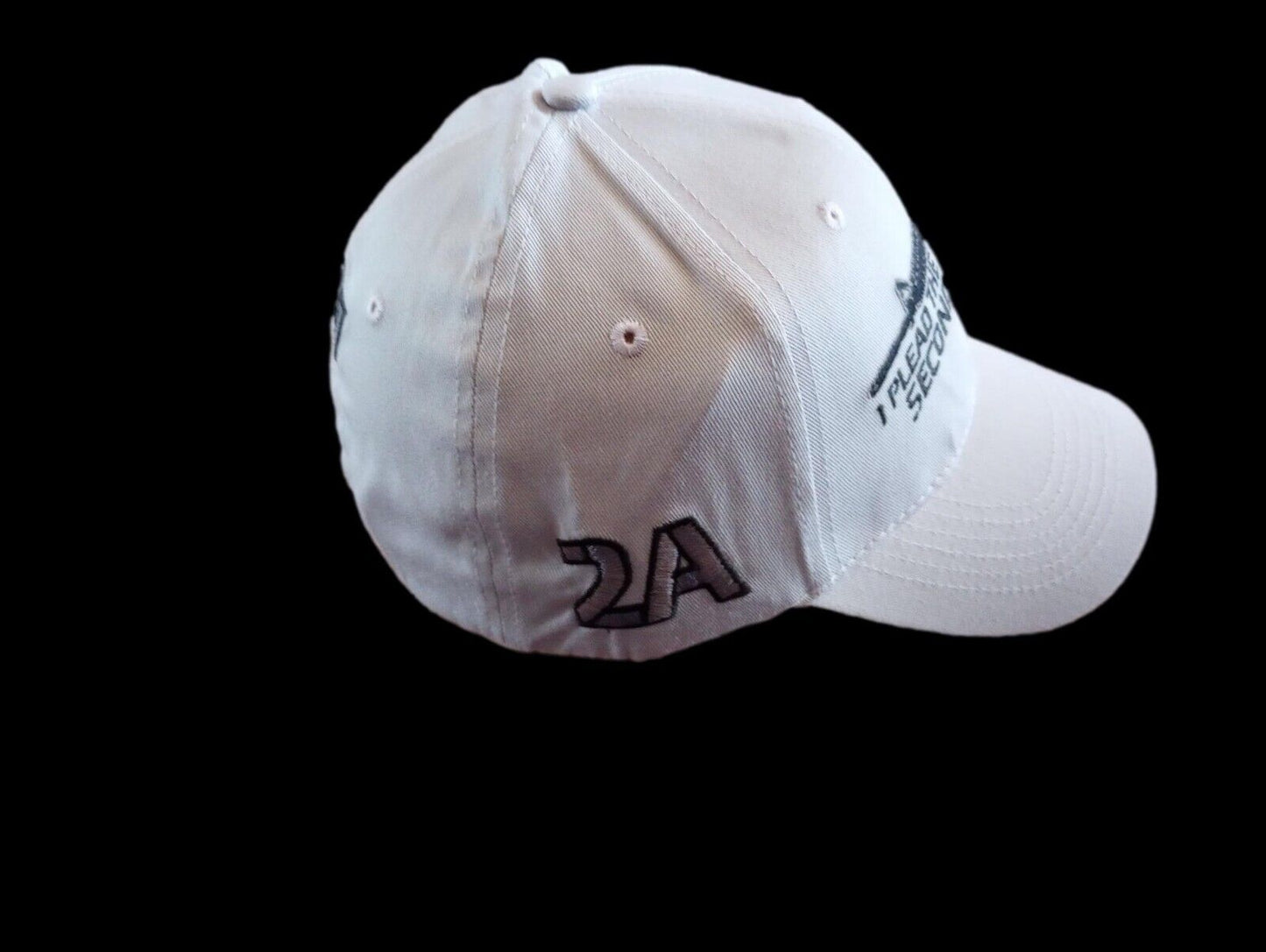 I Plead The 2nd Amendment Hat Embroidered Polo Baseball Cap Relaxed Fit