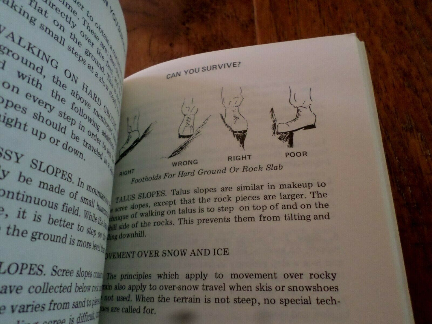 CAN YOU SURVIVE HANDBOOK SURVIVALGUIDE BOOK
