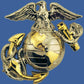 U.S MARINE CORPS EGA LAPEL HAT PIN USMC EAGLE GLOBE & ANCHOR LEFT EMBLEM