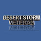 U.S MILITARY DESERT STORM VETERAN HAT PIN LAPEL PIN DSV CLUTCH BACK