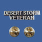 U.S MILITARY DESERT STORM VETERAN HAT PIN LAPEL PIN DSV CLUTCH BACK