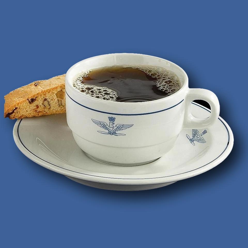 Italian Military Air Force coffee cup & saucer porcelain Tognana vintage NOS