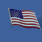 U.S.A AMERICAN FLAG HAT LAPEL PIN DOUBLE POST CLUTCH BACK UNITED STATES PIN