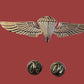 U.S MILITARY NAVY / MARINE CORPS GOLD PARACHUTIST PARATROOPER JUMP WINGS PIN