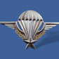 FRENCH MILITARY JUMP WINGS BADGE PARATROOPER 2 7/8" DOUBLE POST METAL PIN