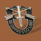 U.S MILITARY ARMY SPECIAL FORCES HAT PIN DE OPPRESSO LIBER FLASH BERET CAP PIN
