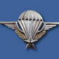 FRENCH MILITARY JUMP WINGS BADGE PARATROOPER 2 7/8" DOUBLE POST METAL PIN