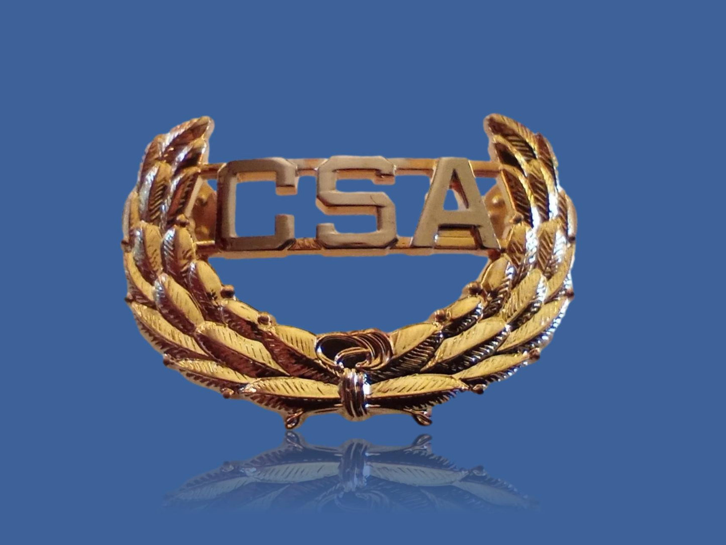 U.S CIVIL WAR C.S.A CAP BADGE INSIGNIA HAT PIN CSA CONFEDERATE STATES OF AMERICA