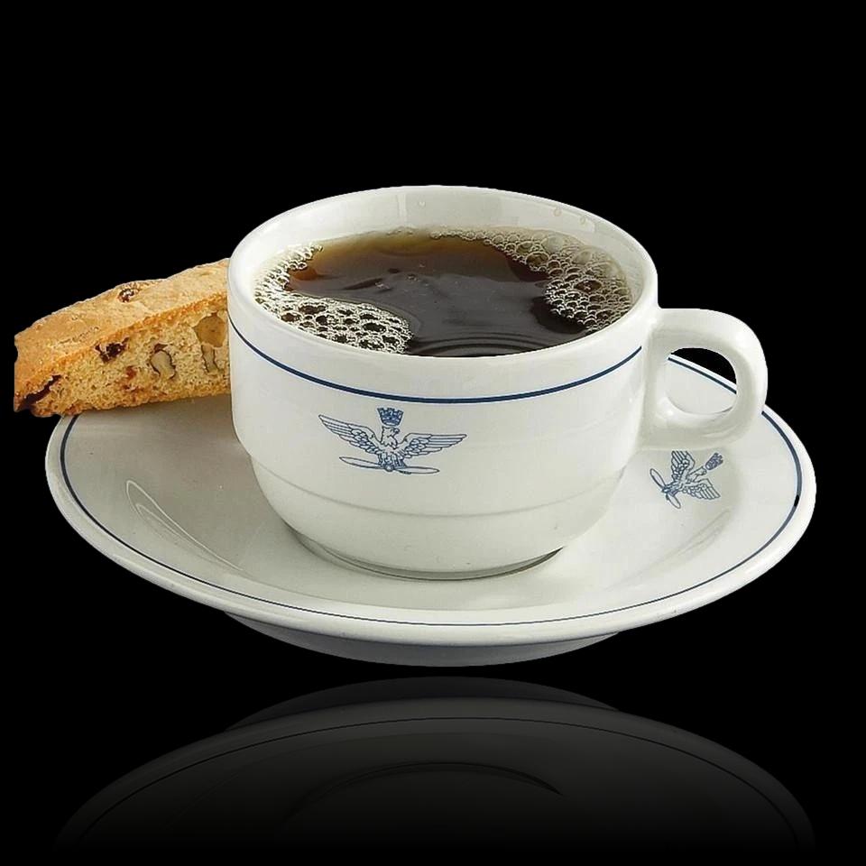 Italian Military Air Force coffee cup & saucer porcelain Tognana vintage NOS