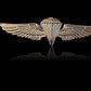 U.S MILITARY NAVY / MARINE CORPS GOLD PARACHUTIST PARATROOPER JUMP WINGS PIN