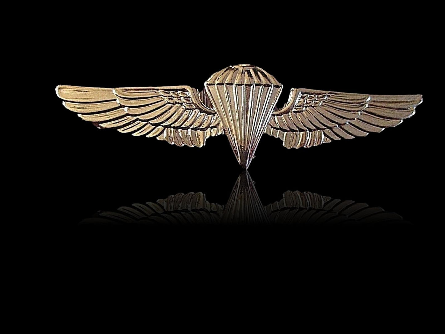 U.S MILITARY NAVY / MARINE CORPS GOLD PARACHUTIST PARATROOPER JUMP WINGS PIN