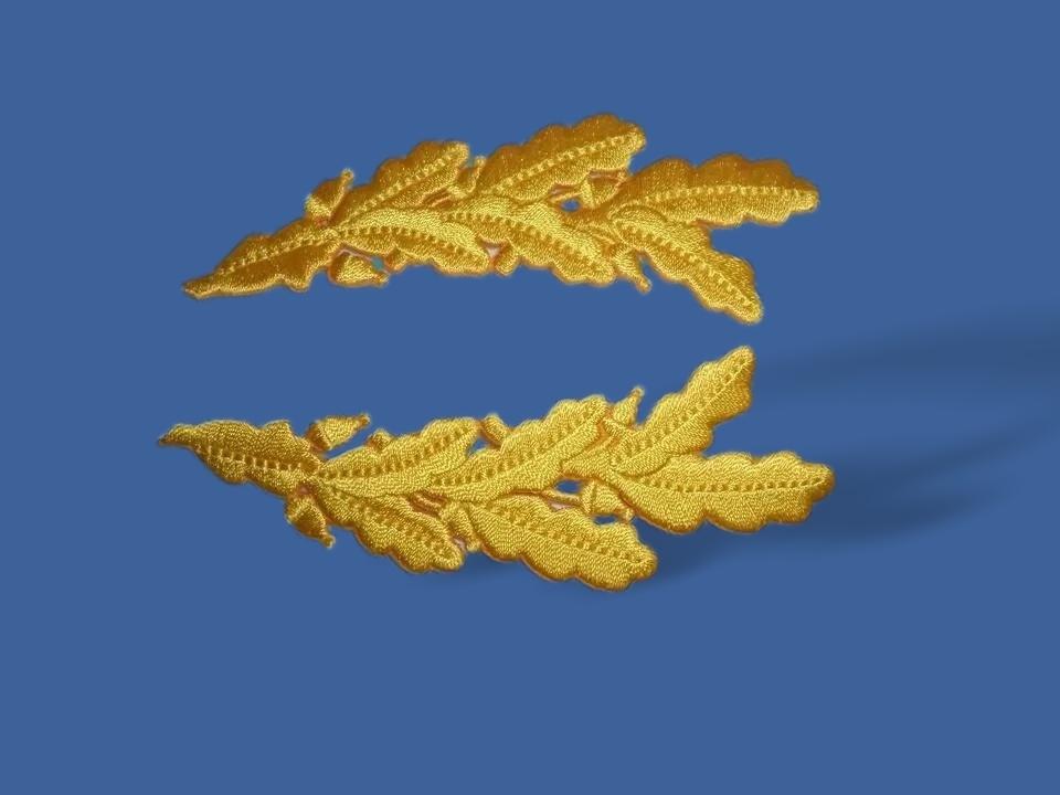 U.S MILITARY EMBROIDERED ARMY OFFICERS SCRAMBLED EGGS FRETTING IRON ON PATCHES