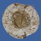 MARINE CORPS BOONIE HAT USMC DIGITAL DESERT MARPAT CAMOUFLAGE USA MADE  M-L-XL