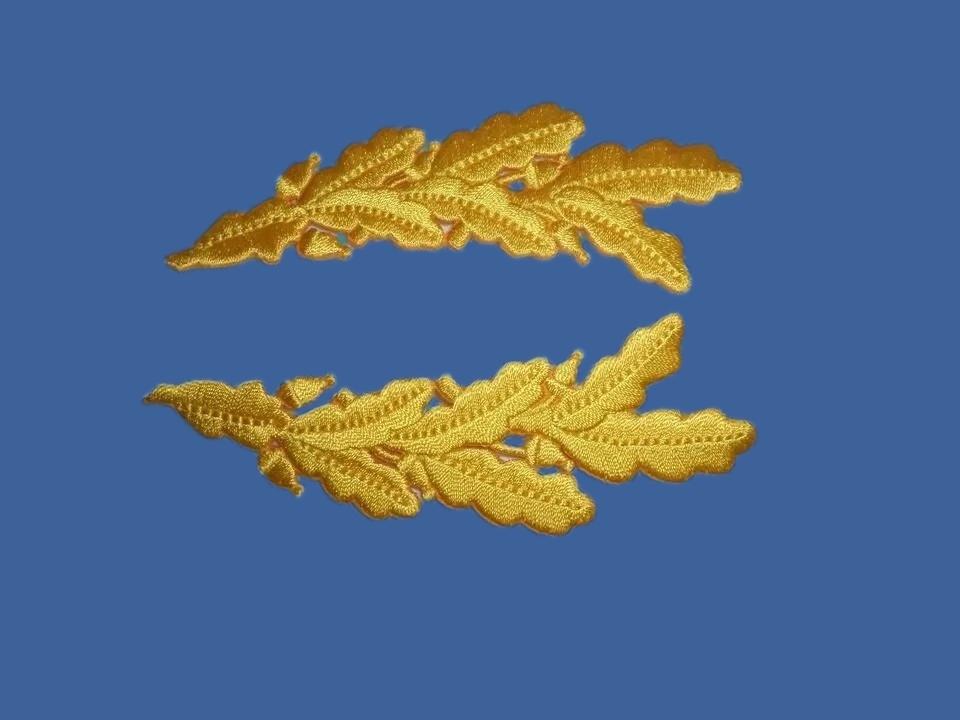 U.S MILITARY EMBROIDERED ARMY OFFICERS SCRAMBLED EGGS FRETTING IRON ON PATCHES