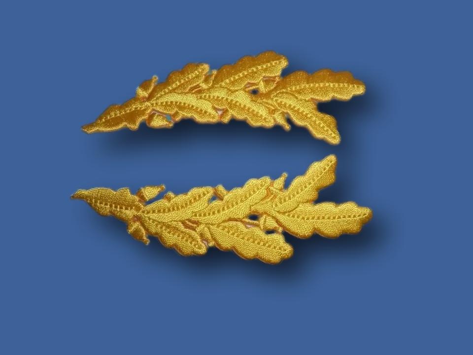 U.S MILITARY EMBROIDERED ARMY OFFICERS SCRAMBLED EGGS FRETTING IRON ON PATCHES