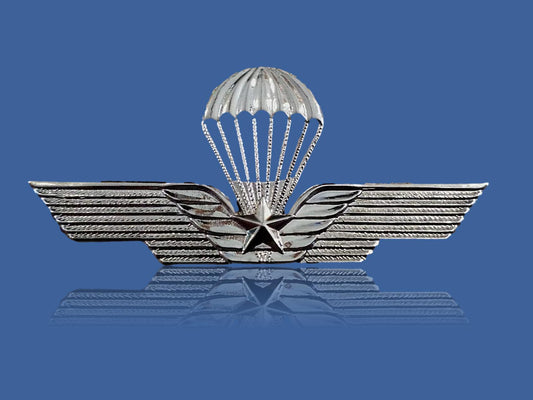 ITALIAN MILITARY JUMP WINGS BADGE PARATROOPER DOUBLE POST METAL PIN