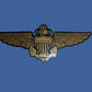 U.S MILITARY NAVY MC GOLD AVIATOR WINGS WINDOW DECAL STICKER 6" X 2.5" INCHES