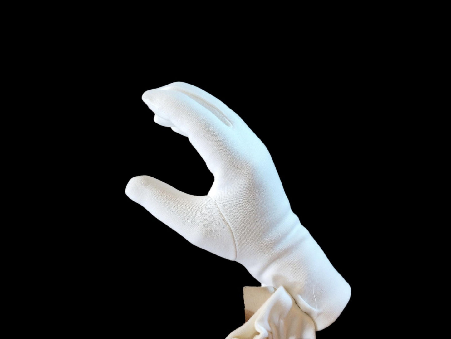 https://i.ebayimg.com/00/s/MTIwNFgxNjAw/z/SPMAAeSw-9Fqgzae/$_57.JPG?set_id=880000500F