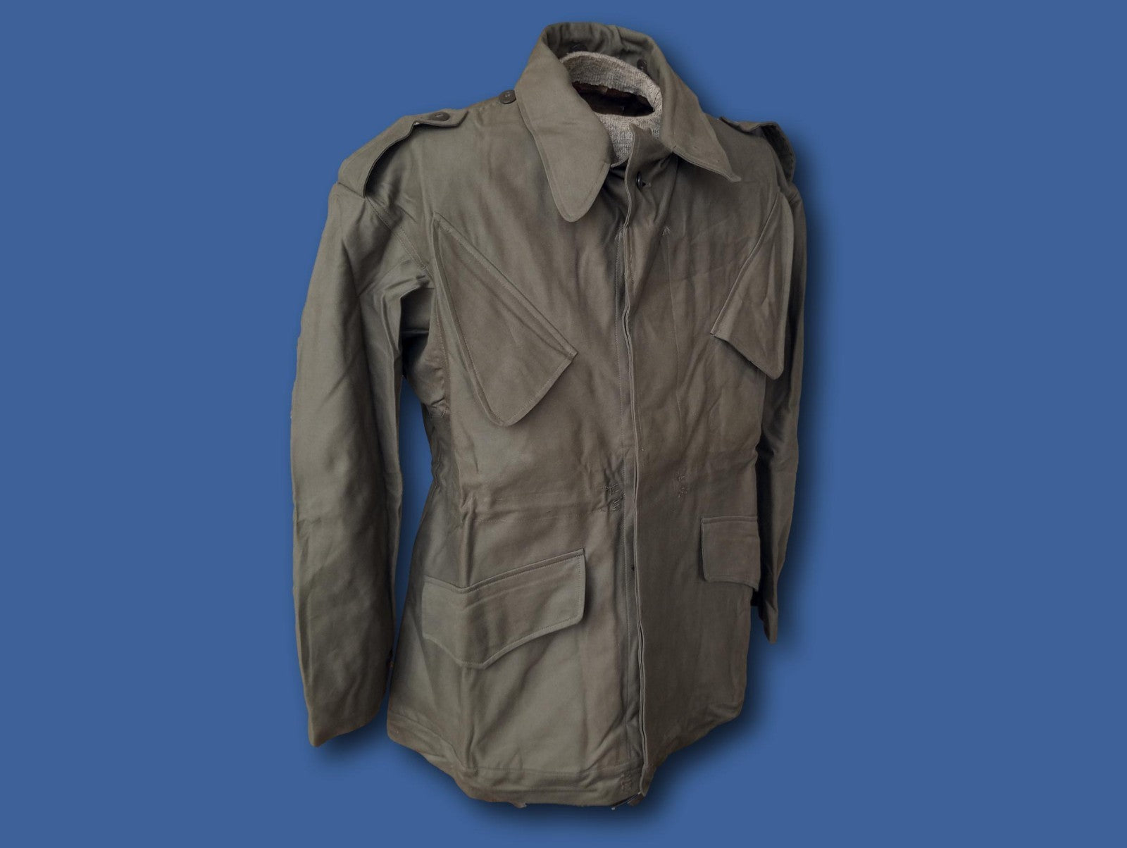 https://i.ebayimg.com/00/s/MTIwNFgxNjAw/z/IAoAAeSw5slpjiY2/$_57.JPG?set_id=880000500F