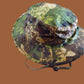 PHANTOMLEAF BOONIE HAT WASP 1 Z3A HUNTING CAMOUFLAGE R/S COTTON NEW