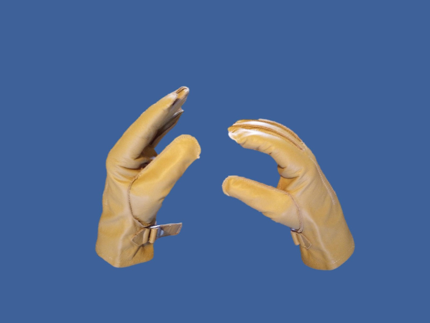 46585906