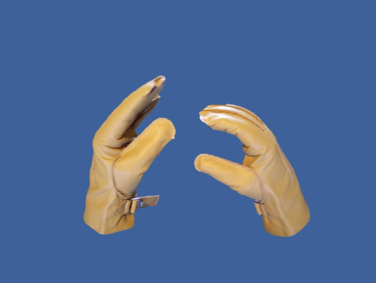 46585906