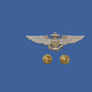 U.S MILITARY NAVY MARINE CORPS GOLD AVIATOR PILOT WINGS PIN AVIATION BADGE