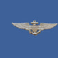 U.S MILITARY NAVY MARINE CORPS GOLD AVIATOR PILOT WINGS PIN AVIATION BADGE