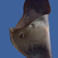 .38 PISTOL HOLSTER MILITARY ISSUE BLACK LEATHER HIP RH FFLD ENG NOS