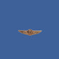 U.S MILITARY NAVY MINIATURE GOLD AIR CREW WINGS 1 1/8" INCHES WIDE HAT PIN LAPEL