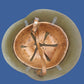 BULGARIAN M36C COMBAT HELMET LEATHER LINER & CHINSTRAP TRI COLOR DECAL ORIGINAL