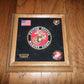 U.S MILITARY MARINE CORPS MEDALLION WITH PINS PRESENTATION SHADOW BOX OAK FRAME