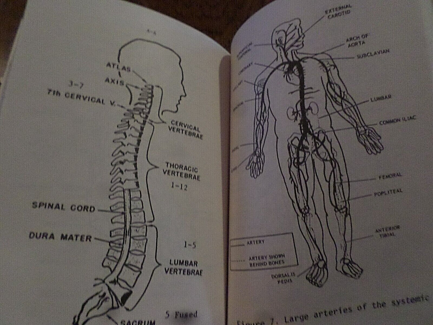 U.S ARMY SPECIAL FORCES MILITARY MEDICAL HANDBOOK TRAINING ST 31-91B