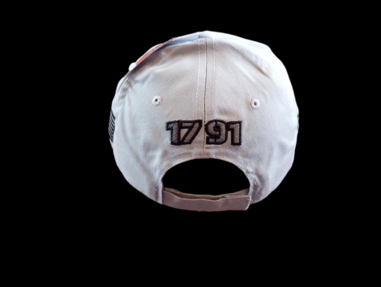 I Plead The 2nd Amendment Hat Embroidered  Polo Baseball Cap Relaxed Fit