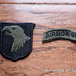 U.S ARMY 101ST AIRBORNE PATCH SHOULDER SLEEVE GENUINE MILITARY REGULATION ISSUE