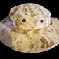 MARINE CORPS BOONIE HAT USMC DIGITAL DESERT MARPAT CAMOUFLAGE XL 7 3/4 USA MADE