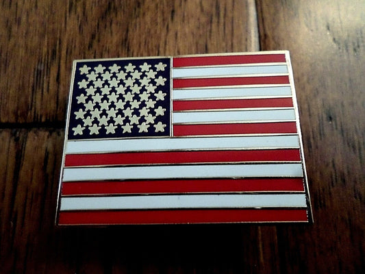 U.S.A AMERICAN HAT PIN LAPEL PIN DOUBLE POST PIN